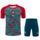 26-27 Portugal High Quality Training Short Suit