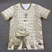 26-27 Brazil Khaki Special Edition Fans Training shirts (鳄鱼图 )