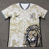 26-27 England Khaki Special Edition Training shirts (狮)