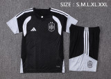 26-27 Spain High Quality Training Short Suit (With 2 Star)*两颗星