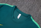 26-27 Brazil High Quality Training Short Suit