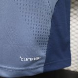 26-27 Bayern Player Version Training shirts