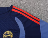 26-27 Bayern High Quality Training Short Suit
