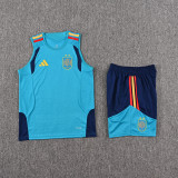 26-27 Spain High quality Tank Top And Shorts Suit(With 2 Star)*两颗星