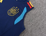 26-27 Spain High quality Tank Top And Shorts Suit(With 2 Star)*两颗星