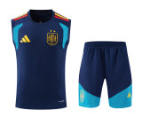26-27 Spain High quality Tank Top And Shorts Suit(With 2 Star)*两颗星