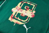 2026 Senegal High Quality Hoodie Jacket Tracksuit
