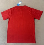 26-27 Germany Red Training shirts