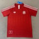 26-27 Germany Red Training shirts