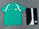 26-27 Senegal High Quality Training Short Suit