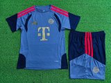 26-27 Bayern High Quality Player Version Training Short Suit (球员套装)