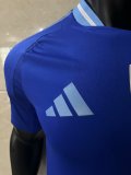 2024 Argentina Away Player Version Soccer Jersey