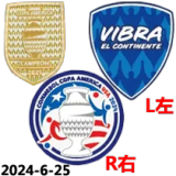 24-25 Argentina 50th Commemorative Edition Fans Soccer Jersey