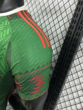 25-26 Mexico Green Special Edition Player Version Soccer Jersey