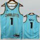24-25 Hornets BALL #1 Blue City Edition Top Quality Hot Pressing NBA Jersey(V领)