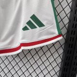 2026 World Cup Mexico Home Player Version Shorts Pants(球员短裤)