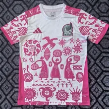 25-26 Mexico Pink Special EditionTraining Shirts