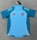 25-26 Flamengo Blue Training shirts