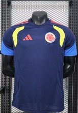 25-26 Colombia Special Edition Player Version Soccer Jersey