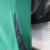 25-26 Algeria Green Player Version Training shirts