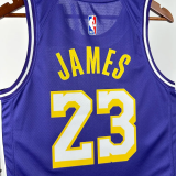 25-26 Lakers JAMES #23 Purple Top Quality Hot Pressing NBA Jersey (Trapeze Edition) 飞人版