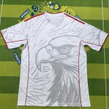 25-26 Benfica Special Edition White Training shirts