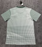 2026 Mexico World Cup Culture Promotion Green Fans Training shirts