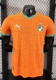 25-26 Cote d'Ivoire Home Player Version Soccer Jersey