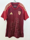 25-26 Sevilla Special Edition Training shirts