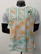 2026 Cote d'Ivoire Away Player Version Soccer Jersey