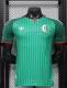 2026 Algeria Away Player Version Soccer Jersey