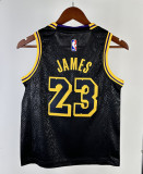 2024 LAKERS JAMES #23Top Quality Hot Pressing Kids NBA Jersey