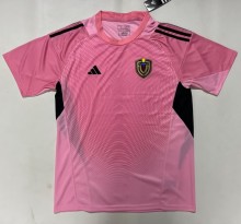 25-26 Venezuela Pink Goalkeeper Fans Soccer Jersey