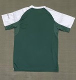 25-26 Panathinaikos Home Fans Soccer Jersey