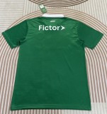 25-26 Palmeiras Special Edition Fans Soccer Jersey