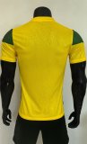 25-26 Benin Special Edition Player Version Soccer Jersey