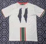 25-26 Palestine Special Edition Fans Soccer Jersey