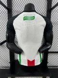 25-26 Palestine Home Player Version Soccer Jersey