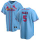 2024 MLB St. Louis Cardinals New Pattern Jersey