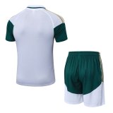 2026 AD White High Quality Player Version Training Short Suit (球员套装)
