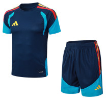 2026 AD Blue High Quality Player Version Training Short Suit (球员套装)