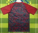 26-27 Portugal Red Training Shirts