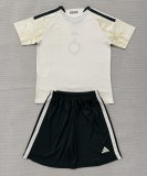 26-27 Celtic Third Adult Suit