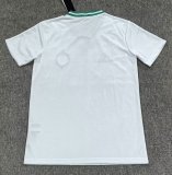 26-27 Celtic Winning The UCL 60th Anniversary Commemorative Edition Fans Soccer Jersey