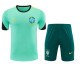 26-27 Brazil High Quality Training Short Suit