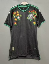 2026 Mexico Embroidered Version Player Version Soccer Jersey