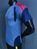 26-27 Bayern Grey ‌Player Version Training Shirts