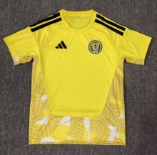 25-26 Scotland Yellow GoalKeeper Fans Soccer Jersey