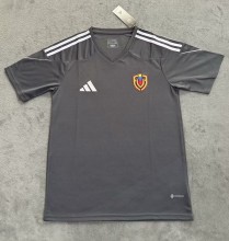 25-26 Venezuela Gray Special Edition Fans Soccer Jersey