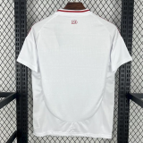 25-26 Internacional Away Fans Soccer Jersey